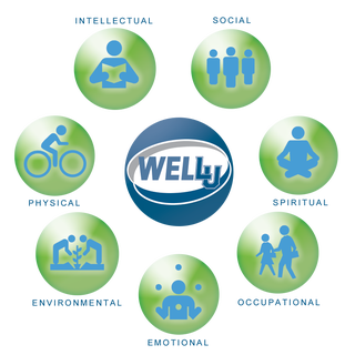 Illustration for article titled Overall health Mentor Income: How Substantially Does a Wellbeing and Wellness Coach Make a 12 months?